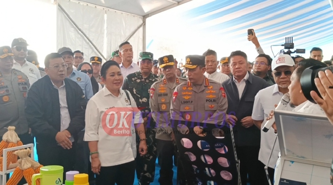 Panen Jagung Kuartal III di OKU Timur dihadiri Kapolri, Titiek Soeharto Hingga Menko Pangan
