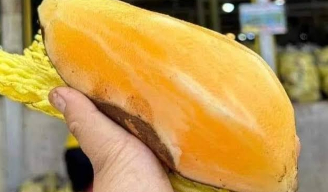 Memiliki Kandungan Nutrisi Penting , Ubi Yacon Juga Menawarkan perawatan kulit secara alami
