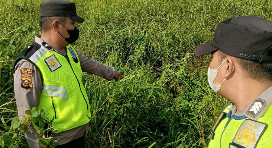Pantau Aplikasi Stop Karhutla, Polsek Cempaka Verifikasi Titik Api di Desa Campang Tiga Ulu