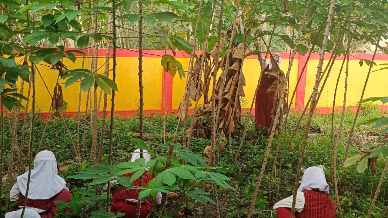 Kebun Sekolah Jadi Media Pendidikan Karakter dan Ketahanan Pangan