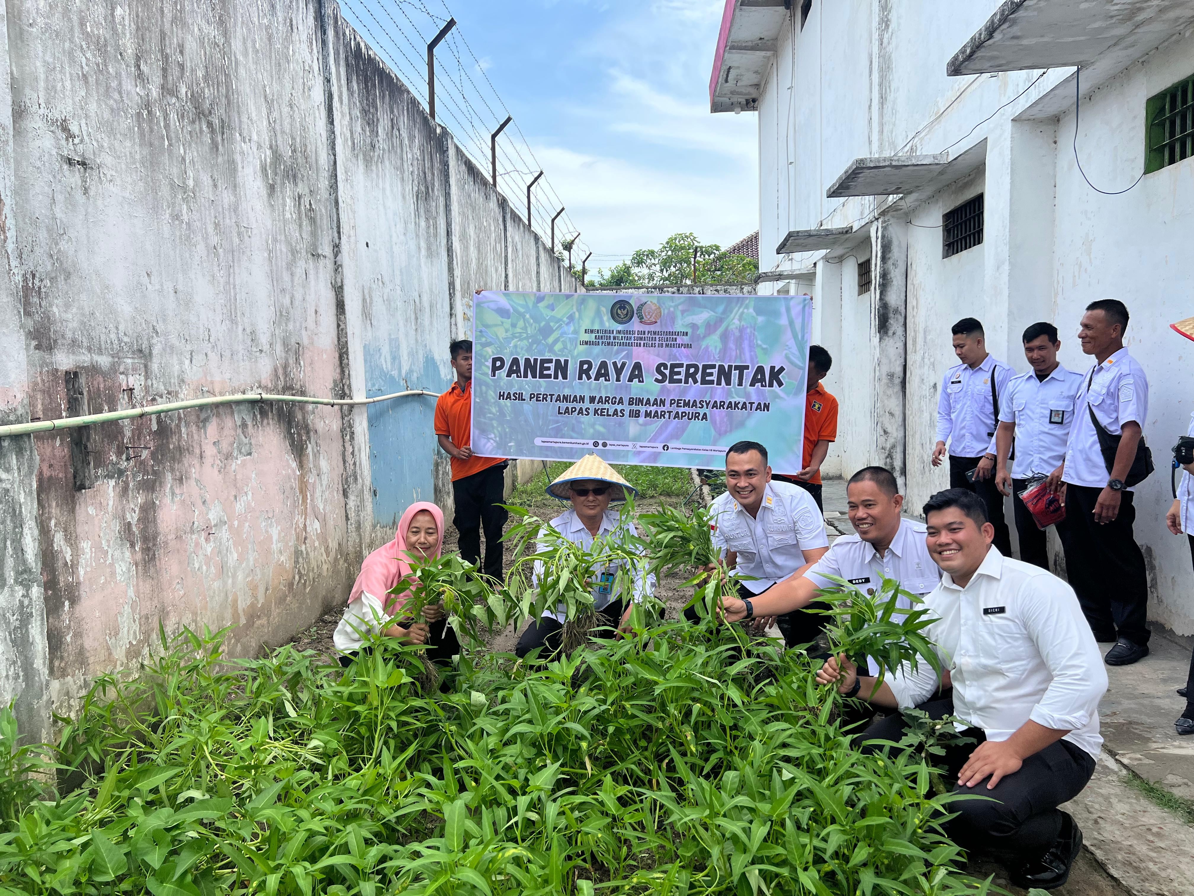 Lapas Martapura Panen Raya Serentak Bersama Dinas Pertanian, Sukseskan Program Ketahanan Pangan 