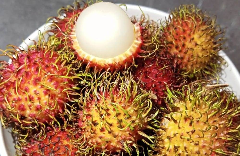 Mencegah Anemia, dengan Konsumsi Buah Rambutan