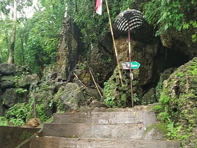 Di Balik Kesannya yang Angker, Ternyata Hutan Alas Purwo Menyimpan Keindahan Alam yang Mempesona