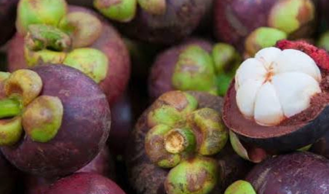 Yuk Simak, Ini Deretan Khasiat Manfaat Buah Manggis untuk Ibu Hamil