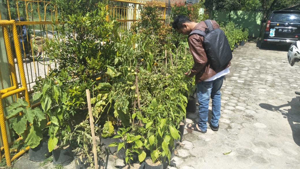 Praktis, Tanam Sayur Cukup Gunakan Polybag