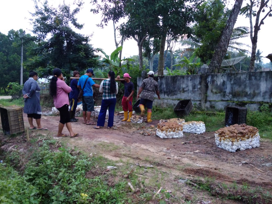 Petani Ngeluh, Harga Karet Tak Sebanding dengan Beras