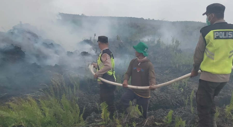 Empat Hektar Lahan Gambut PT GNS di OKU Timur Terbakar, Api Berhasil Dipadamkan