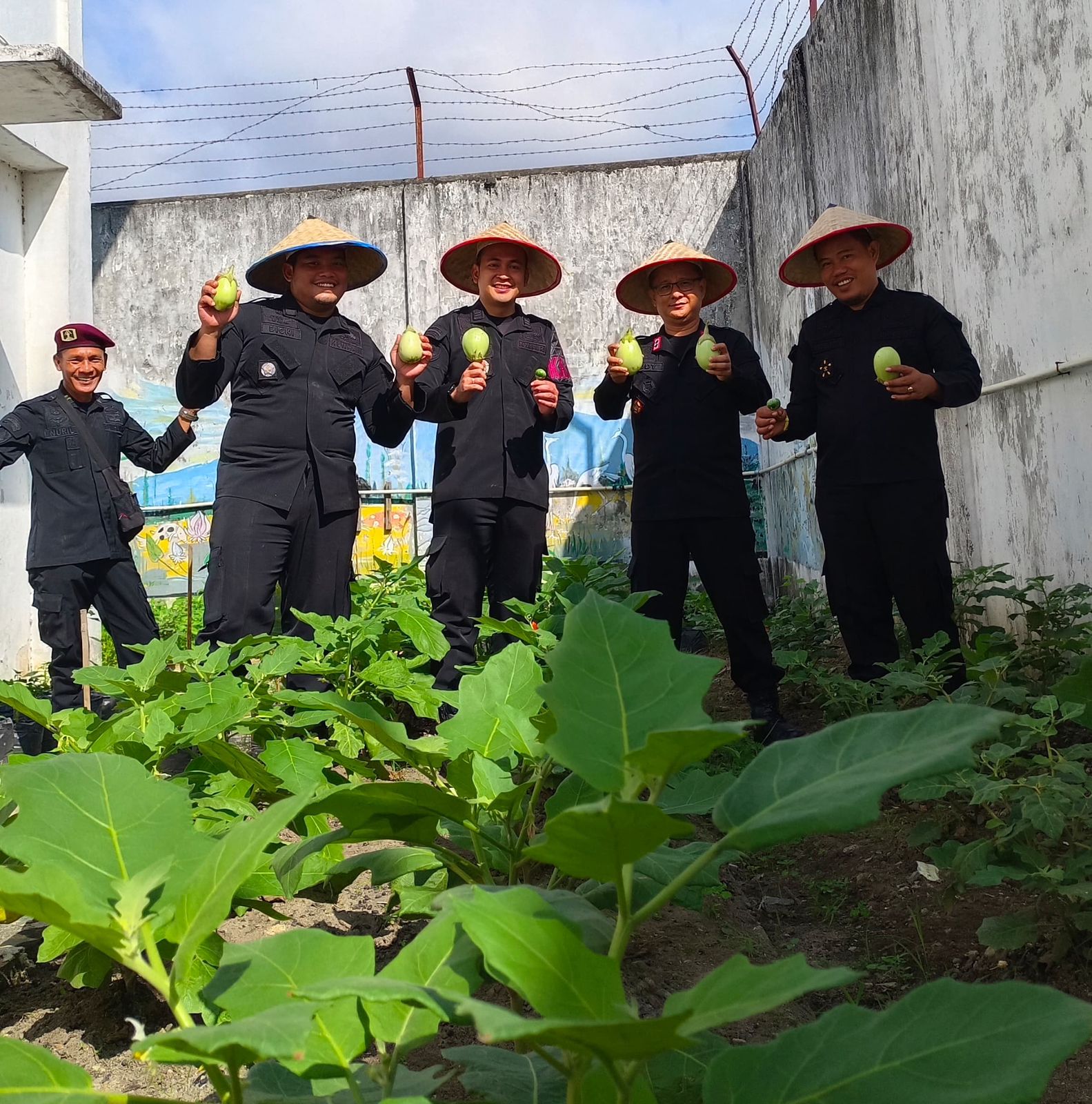 Patut Dicontoh, Lapas Martapura Sukses Panen Hortikultura Hingga 3 Kali