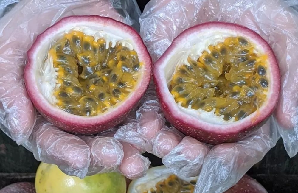 Manfaat Buah Markisa dalam Meredakan Gejala Asma