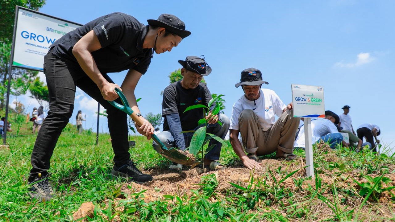 Pulihkan Hutan Bekas Tambang, Aksi Nyata Kelompok Tani Selamatkan Lingkungan Bersama BRI Menanam-Grow & Green