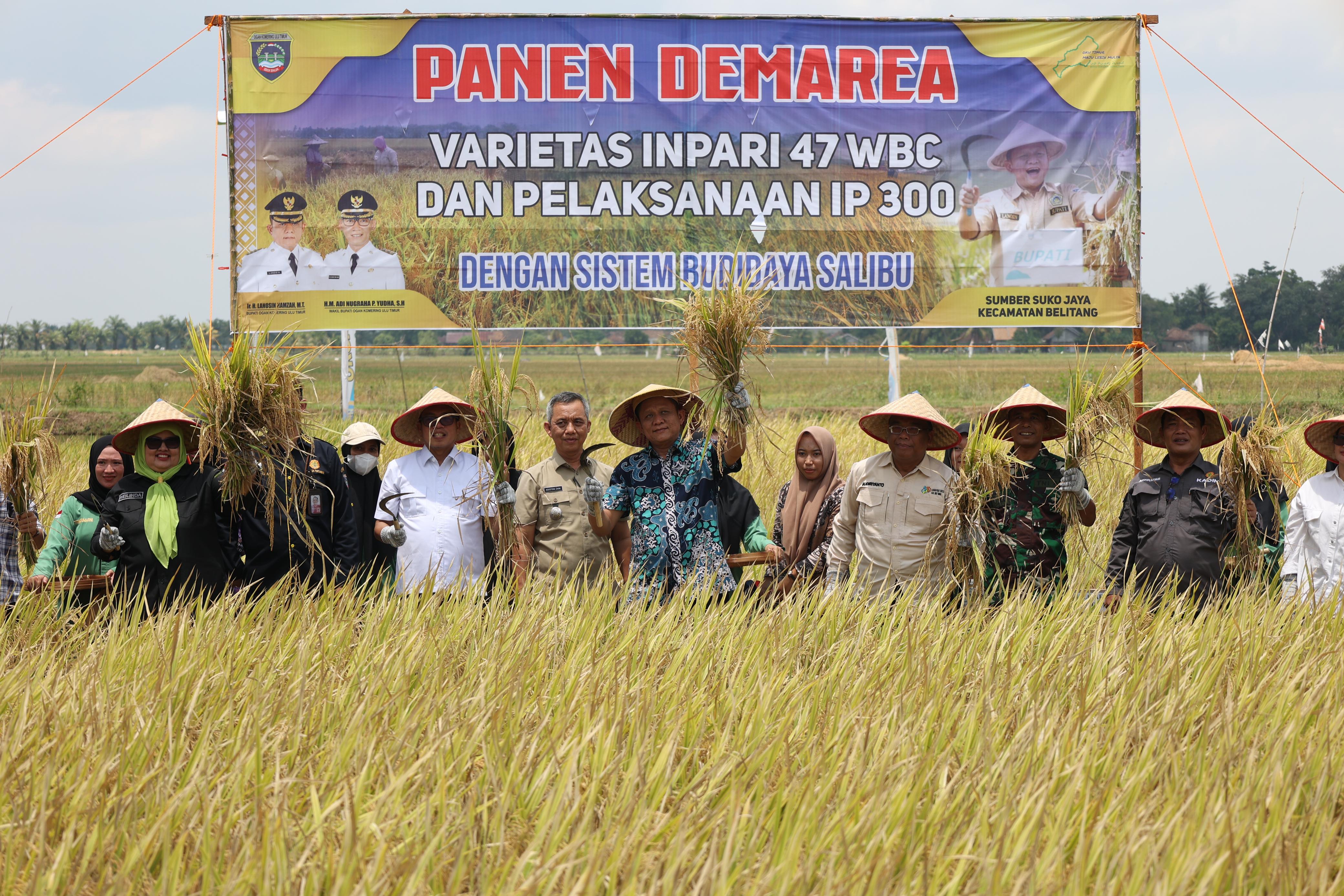 Bupati Enos Catatkan Sejarah Baru, Produksi Padi di Kabupaten OKU Timur Tembus 10 Besar Tingkat Nasional