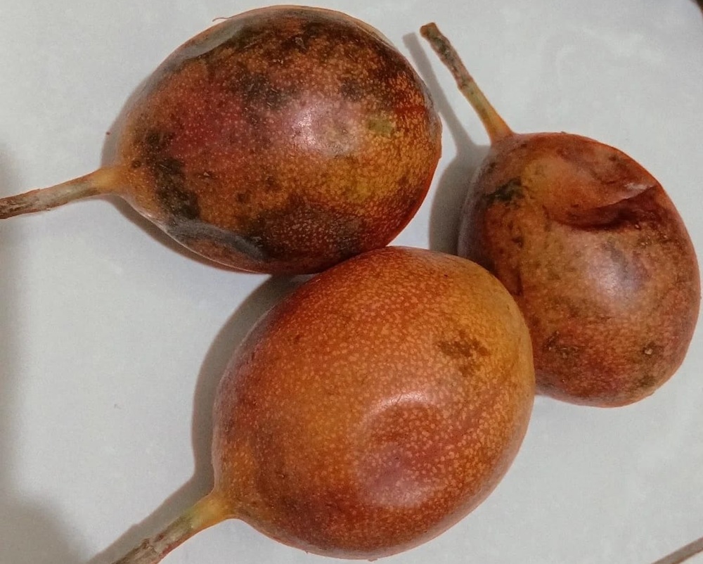 Manfaat Buah Markisa sebagai Pencegah Anemia Secara Alami