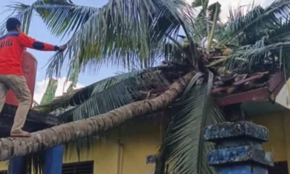 ​Angin Puting Beliung Terjang OKU Selatan, Empat Sekolah Rusak