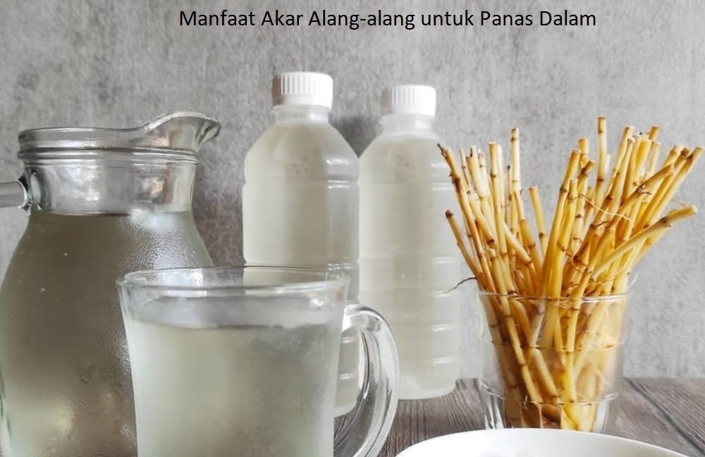 Solusi Mudah untuk Meredakan Panas Dalam: Mengonsumsi Akar Alang-Alang