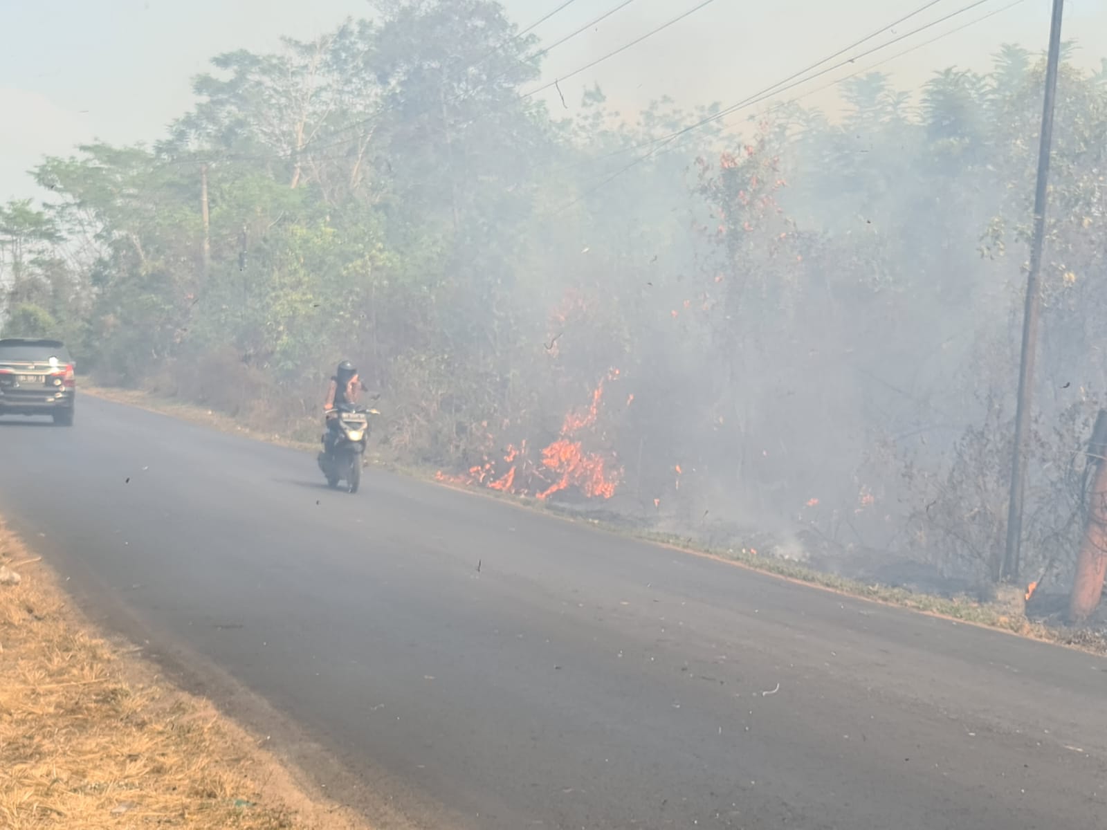 Kebakaran Lahan di Desa Keromongan, Timbulkan Kabut Asap, Jarak Pandang Pengendara Terganggu