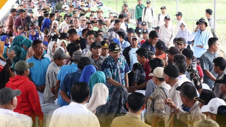 Acara Panen Raya Damarean Verietas Inpari Dibumbui Kampanye 