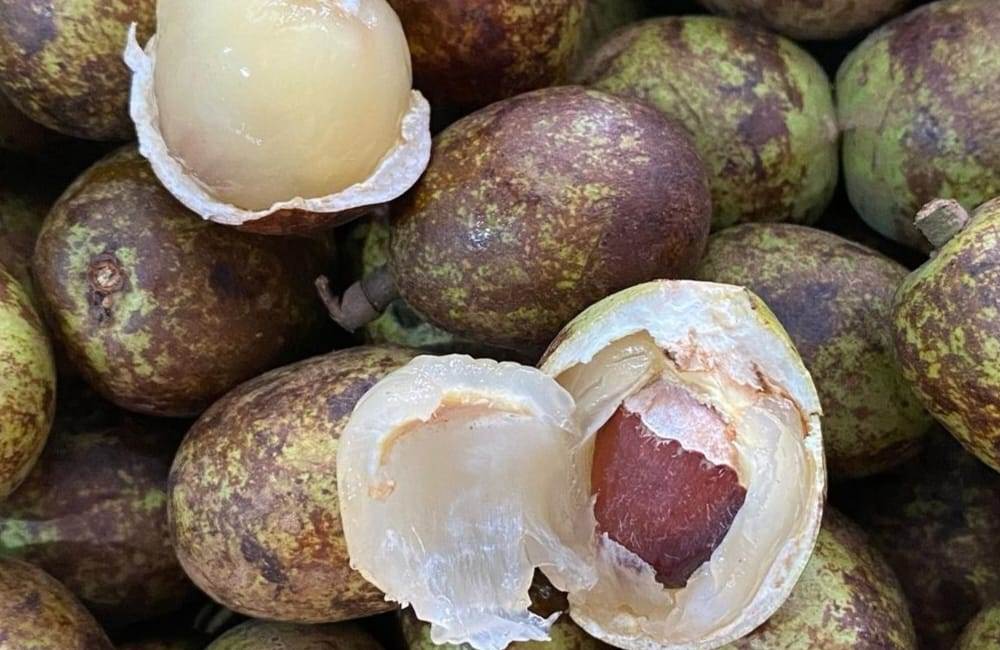 Manfaat Luar Biasa Buah Matoa untuk Kesehatan Mata