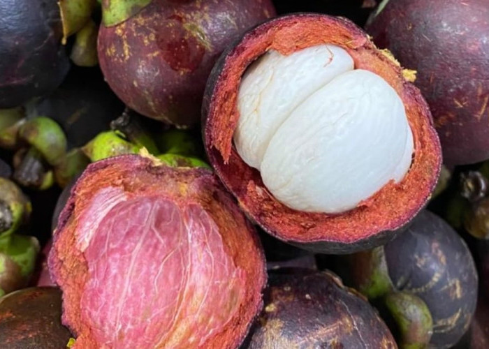 Manfaat Buah Manggis dalam Meredakan Radang Sendi