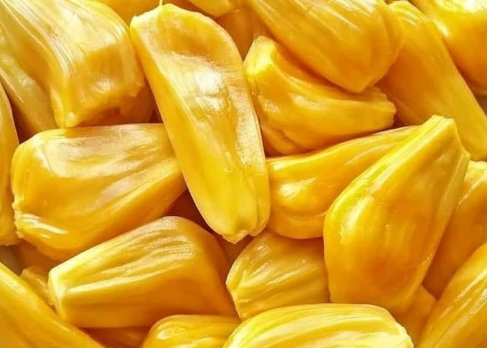 Manfaat Konsumsi Buah Nangka Dapat Menurunkan Risiko Peradangan 