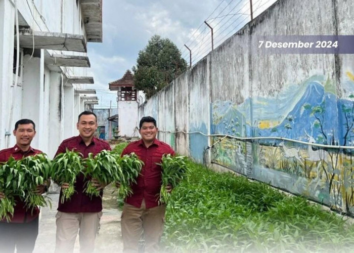 Dukung Program Ketahanan Pangan Nasional, Lapas Martapura Panen Sayuran Hortikultura