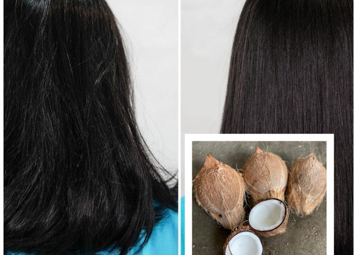 Tidak Perlu Menggunakan Catokan, Ini Cara Ampuh Meluruskan Rambut Hanya Dengan Minyak Kelapa