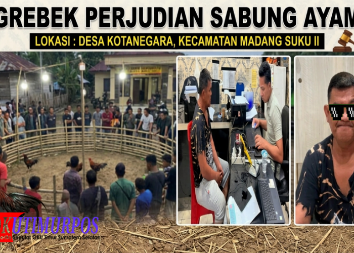 Sabung Ayam di Madang Suku II Digerebek, Polres OKU Timur Tangkap Penyedia Lapak