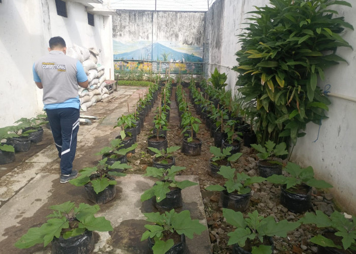 Pembinaan Keterampilan, Warga Binaan Diajarkan Budidaya Ikan Hingga Berkebun Sayur