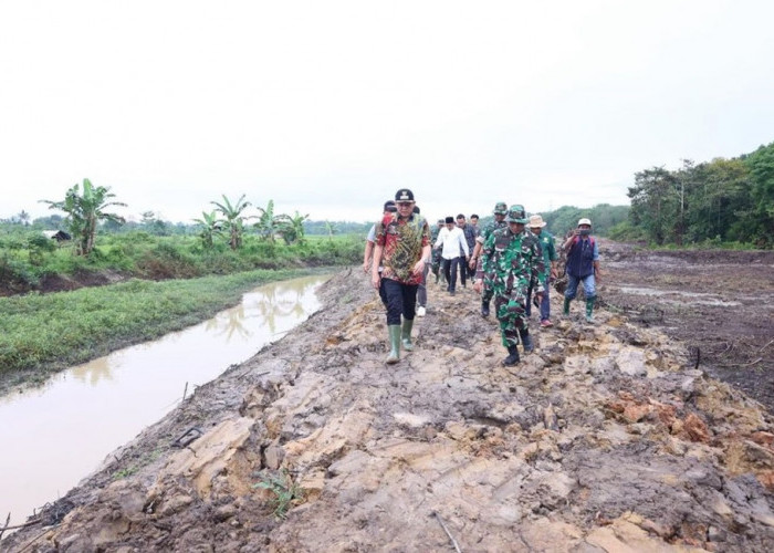 Bupati OKU Timur Enos Tinjau Lokasi Optimalisasi Lahan di Kecamatan Cempaka, Tingkatkan Produksi Pertanian