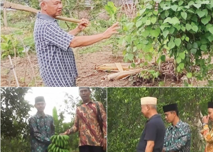 Mantan Bupati HM Kholid Mawardi, Manfaatkan Pekarangan Menjadi Agrowisata di OKU Timur
