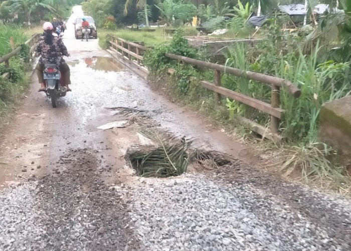 Hati-Hati Bagi Pengguna Jalan, Jembatan Desa Karang Mulya Ambrol