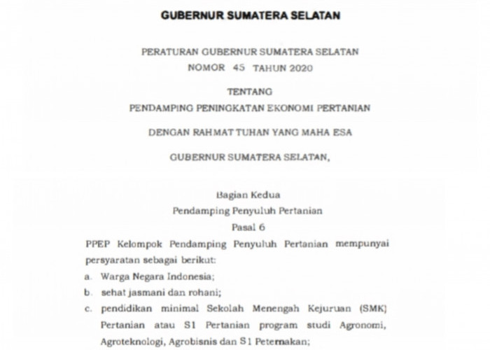 Jelas Diatur Dalam Pergub PPEP Tidak Boleh Rangkap Jabatan 