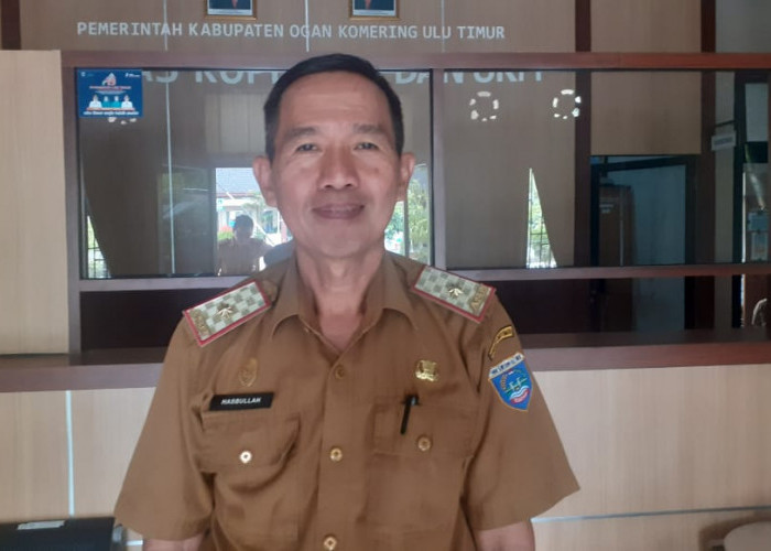 Jumlah UMKM di Kabupaten OKU Timur Capai 73 ribu