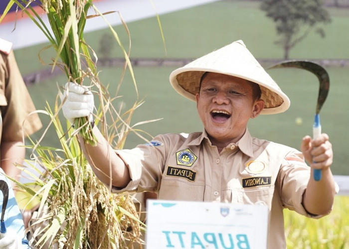 Kiat Kabupaten OKU Timur Pertahankan Status Lumbung Pangan Nasional  