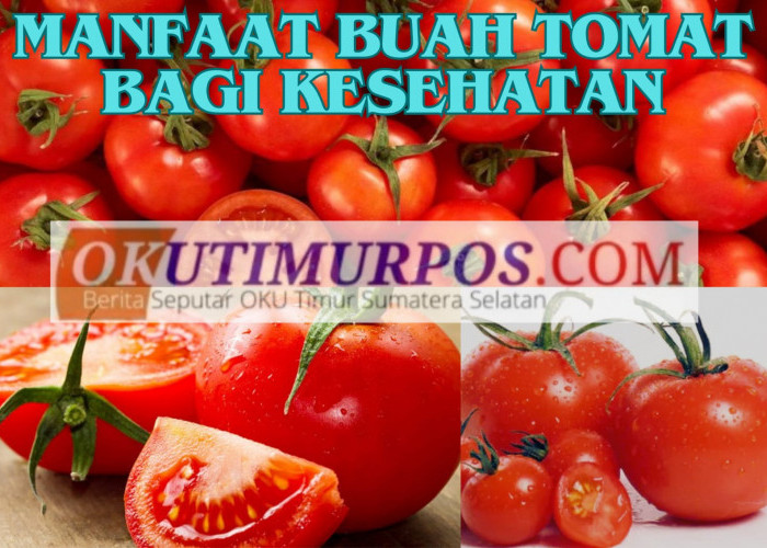 Anda Berjerawat Makanlah Tomat, Inilah 10 Manfaat Buah Tomat untuk Kecantikan dan Kesehatan Tubuh 