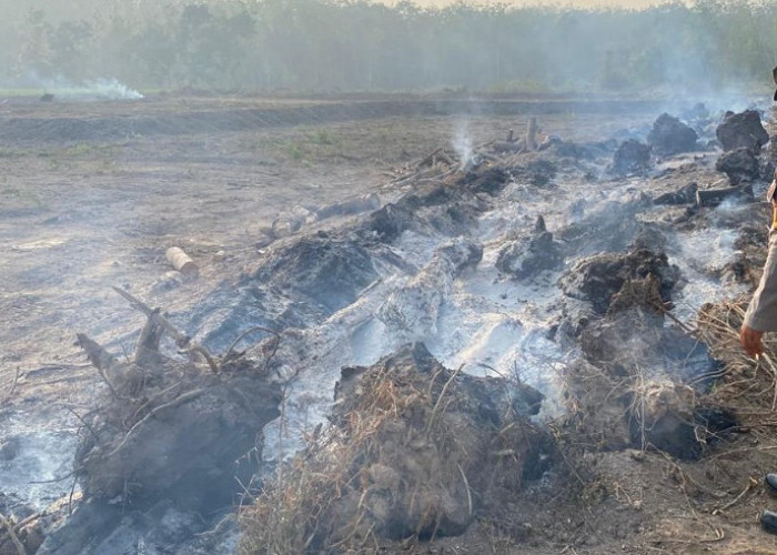 Pantauan Satelit Deteksi Titik Panas di Belitang II, Petugas Temukan Bekas Bakaran Kayu Karet