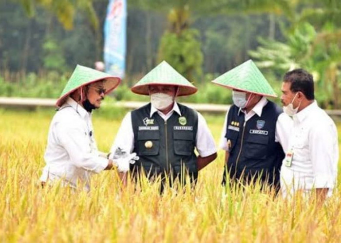 12 Alasan Kenapa OKU Timur Jadi Lumbungan Pangan Nasional