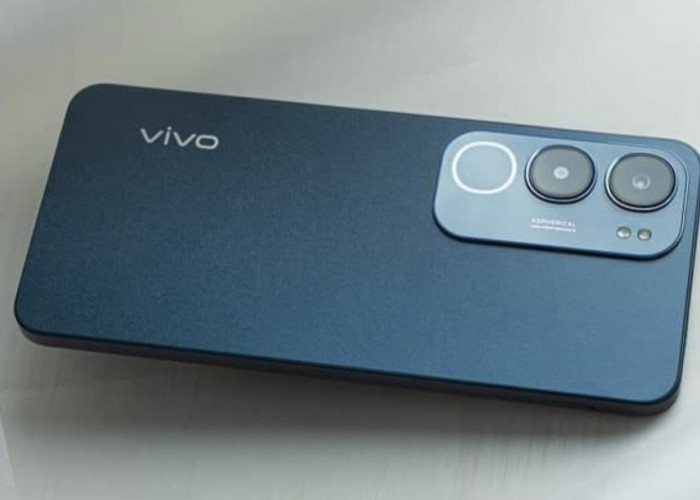 Spesifikasi Vivo Y19s: Mempuni dan Terjangkau, Cocok untuk Badget Tipis