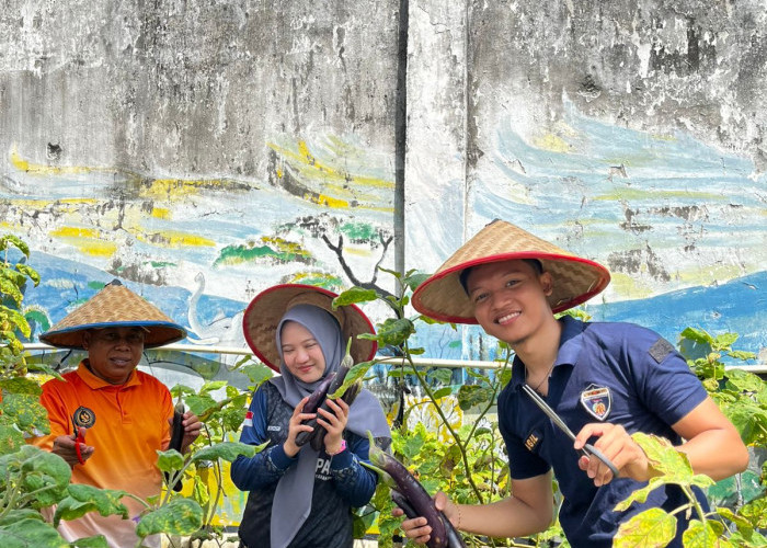 Kalapas Abas Pimpin Panen Raya Hingga Tanam Ulang Holtikultura, Dukung Asta Cita Ketahanan Pangan 