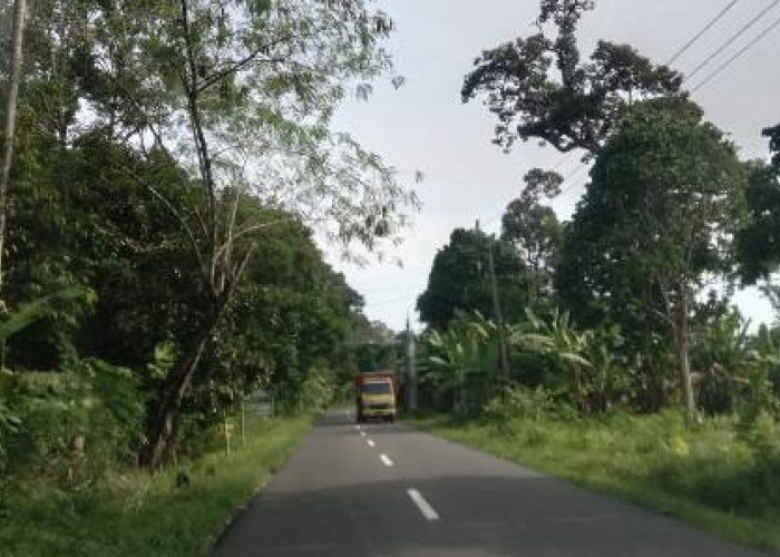 Jalan Jalur Komering Mulus, Tapi Ini yang Harus Diswaspadai Pengendara