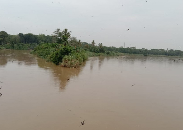 Air Sungai Mulai Pasang, Warga di Bantaran Sungai Perlu Waspada