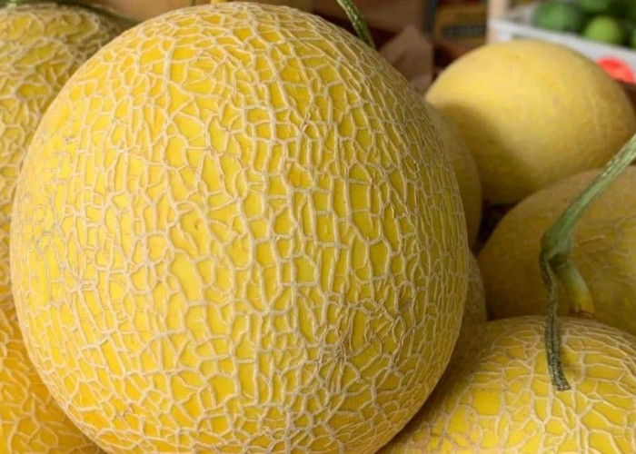 Temukan 6 Manfaat  Buah Melon yang Wajib Kamu Ketahui