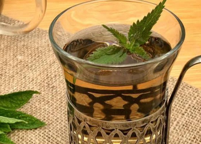 Mengobati Radang Sendi dengan Mengonsumsi Teh Daun Jelatang