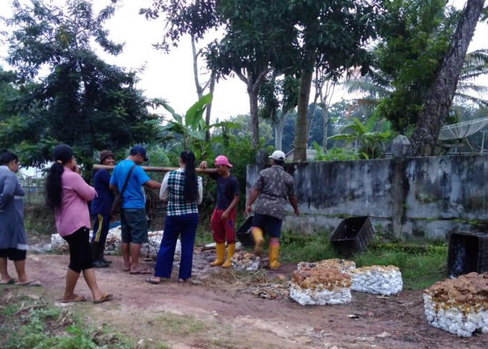 Harga Karet Tak Sebanding dengan Beras