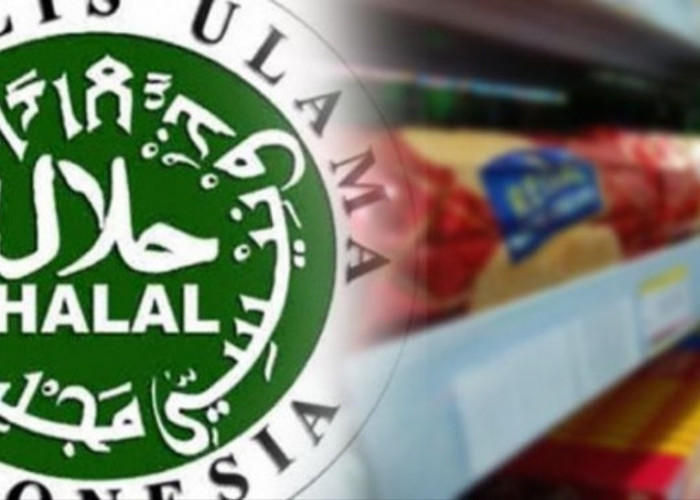 Kankemenag Kota Pagaralam Berhasil Capai 50% Sertifikasi Halal bagi UMKM dalam Kampanye Mandatori Halal