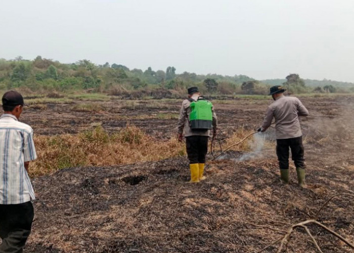 Padamkan Sisa Kebakaran Rawa, Tim Gabungan Polsek Madang Suku II Disiplin Cek Titik Hotspot