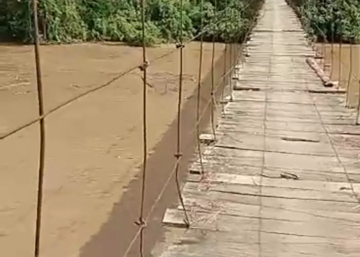 Sedikit Lagi Air Nyentuh Jembatan Gantung Karang Agung Simpang OKUS