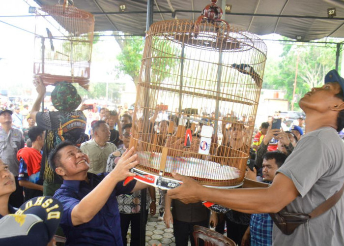 Herman Deru Yakin Kontes Bonsai dan Lomba Burung Berkicau Bersampak Positid Terhadap Geliat Ekonomi Masyarakat