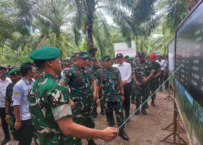 Kasat TNI Jenderal Maruli Simanjuntak Tinjau Lokasi Ketahanan Pangan 276 Hektar Puslatpur Kodiskladat di OKUT