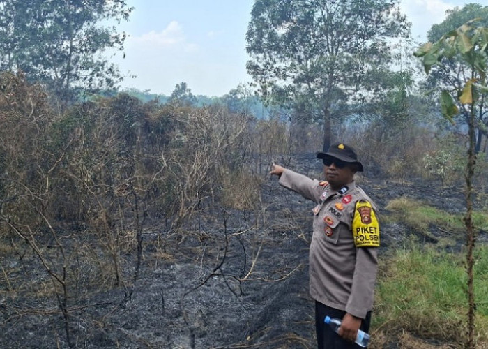 Lagi, Satelit Deteksi Titik Hotspot di OKU Timur, Polsek Madang Suku I Sisir Lahan Sawah
