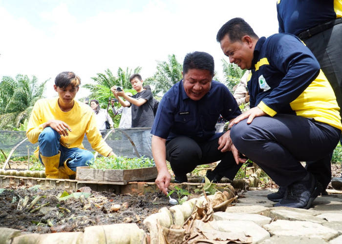 Sulap Sampah Oganik Jadi Media Tanam dalam Satu Detik 